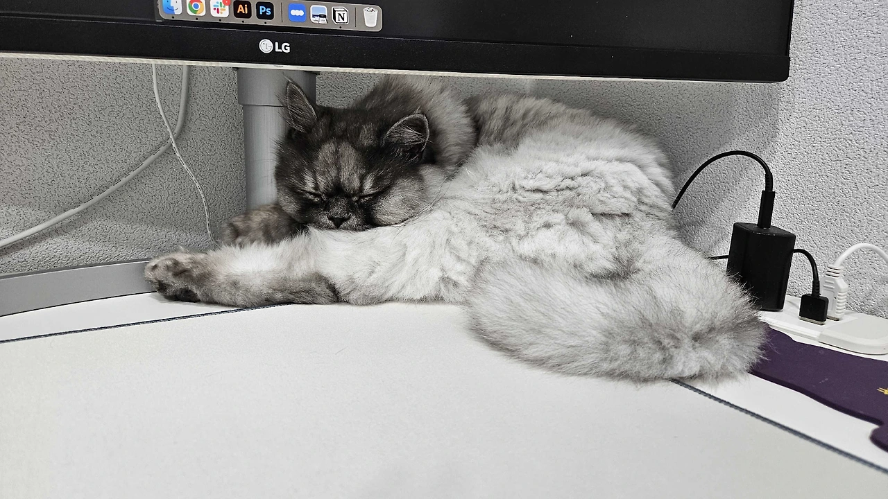 erZ5RGZY8j-CbgvOFEX2B-MSmjnI5ILxN3O9o8ZvBBhFt0R6L6KzzohIfkN79jjPaKs28S1Ih-7HwUg0cwOFsZfN2pqFcfEetDE83TxkxeSVZsXyiMRrQ6SuZ-d5PRNZNHeWuGl0L1A8agENSqzg1H0