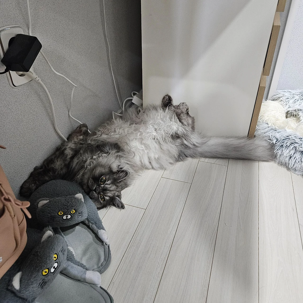 AD_4nXcLVQwt3bVo81b0M--xCL49u8puymIYJh69kZ-3t2UtyxFp8Z3QJVT8bpGfbQ_p6tQPiFxaG8vcVtGtY6Yg9DpHFpX9aPGA0mQGrz5MMRYrVJOxhEl2C_74clio61fRUIlnd2YvMw?key=Z_AkPtusVr_KJvnSePMBG6re