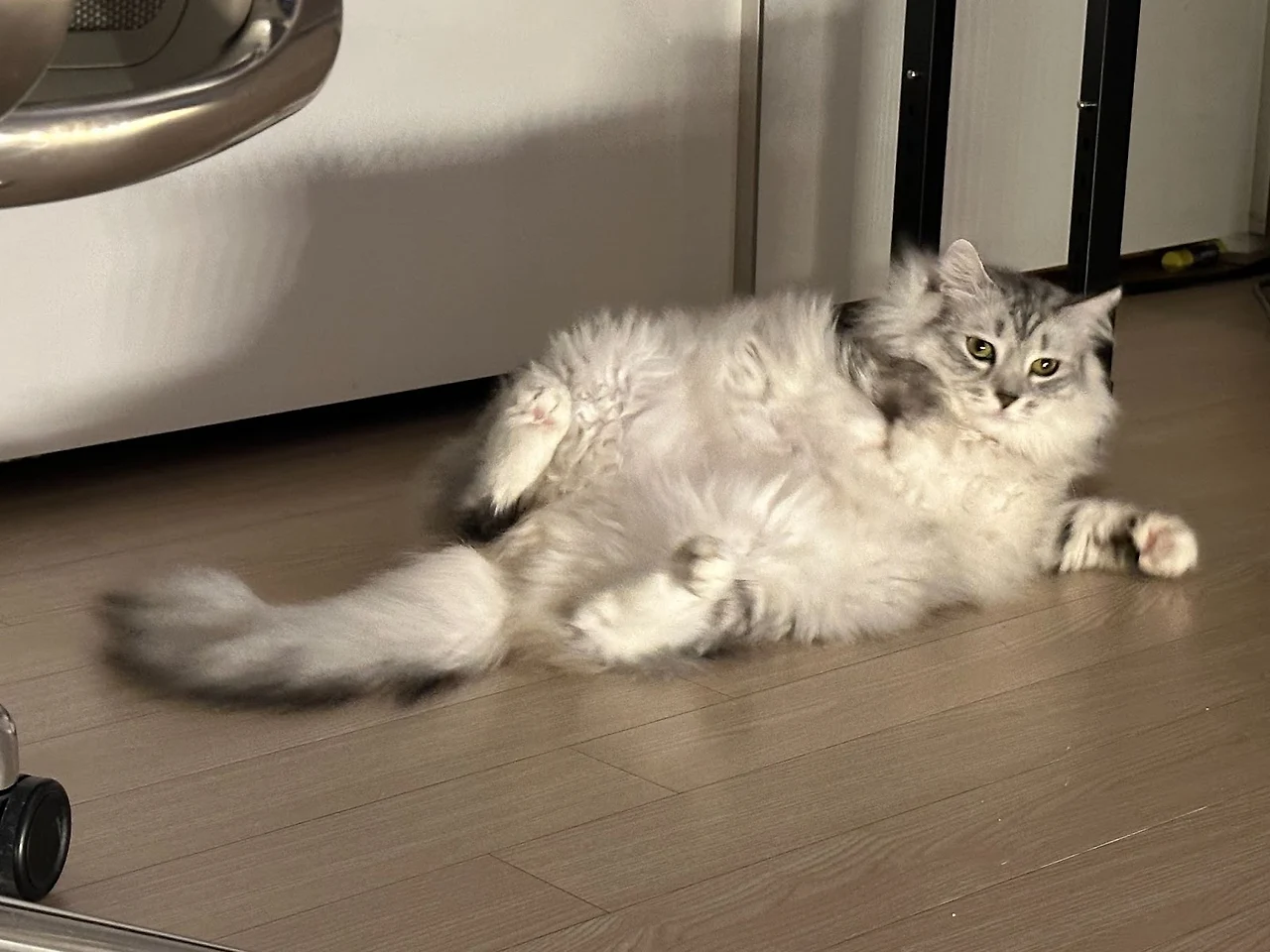 fhiB_rZXPvSfZaTXebAGQ_0QV-Ywj08YZaNNKsMPgIfoOKIqfZedVh5sesg1Y3Ut1SDk3m-nfcIC5bWNEFN3kNP-RlKcU33tCCSmuTc90gWFFAu6YNt7_EvDPhD58WSU8XpH32wokU1fSu4pLMFjuVs