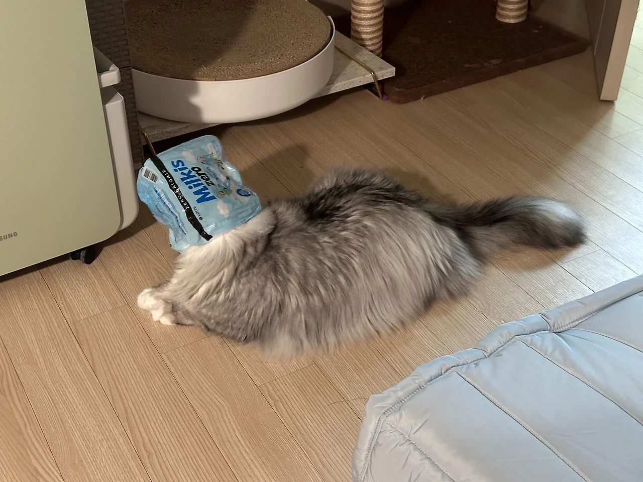 RlPxnJN9DgwhiY62DfsyfUM0kWeiY_me9Tu7SS-P3bH4QrmAcZoZsiX3bWJeWZnP2gB1CAY-VSUUrwg2wMJzLE_mlm3rAf4GxJElwTbMtVbVbjjXyrFZUC5UhrV57xH8oieFCW-CjRvtC7i6MZsqEvw