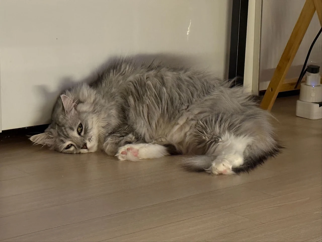 AD_4nXdpZVgFgdND8CCtMt6rzzqlfr0wtHGrfESIjn3ziUPQ79Tqavwbc-MoXnbR31jYo9snjC6WcbFufxCFSbiDgN7Ff_diW14Sqoh1lp27ui-d3GGfWBuHidfBeIBQFesigEElN6lBWw?key=NHTdxX4e9TT9arLOWBDgR7oR