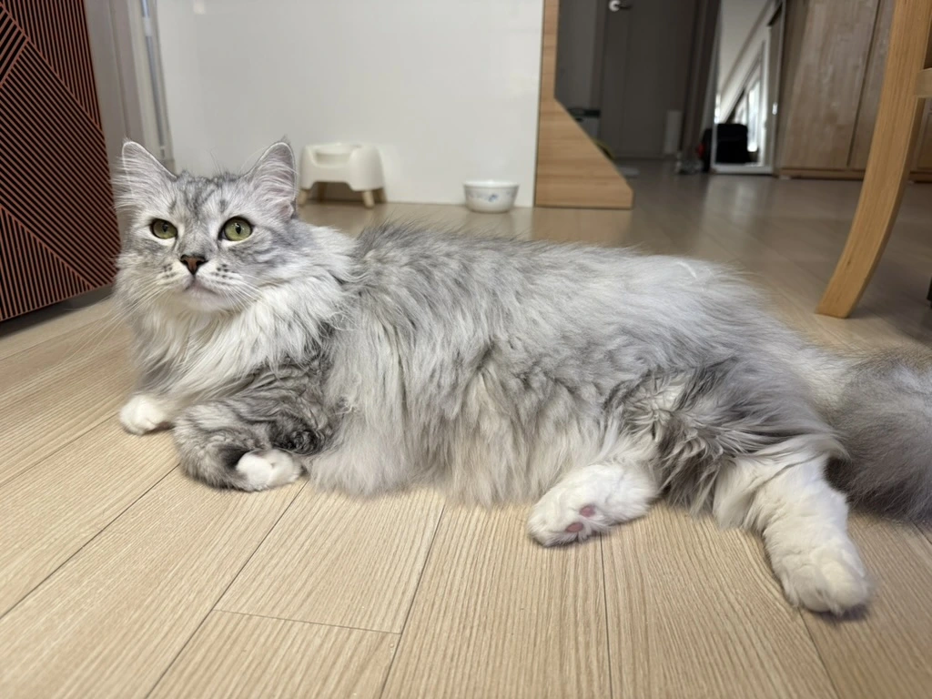 AD_4nXdsW2X0rqPL8WpwH8tgTYKh0crxNG3AdbxNKFxXwZ1fbWWm65LMd2VUUIZOJ7Cu6axajdkMWm4SKwo_XHi5WgL_wMZVWkGJ8g6lrwxtEyiz4o1EKX8K3QC304Zg1qNxqxWc7SI6-g?key=zV655IbcSpLqMhJLxGmDmBvu