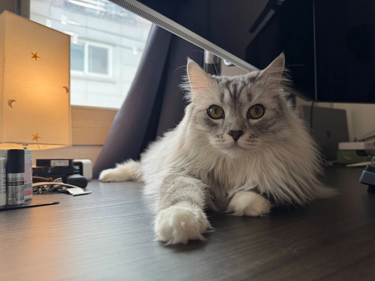 AD_4nXdYmMxxJKYwKkZuHmvbAc7gtB9jAig39Vky36WpYH4p_L0majzKtP1PKOIZ65m1LOmUhKqt5llqQQBZa8AUsCad5WZHHoMidoKlhI7PvNxGisghsavsooWUd-I4QA7taROQYCJS5ieiB0ZUEjFu5bLoVbIF?key=RRJKgylQZL3NbSowq5Ju8w