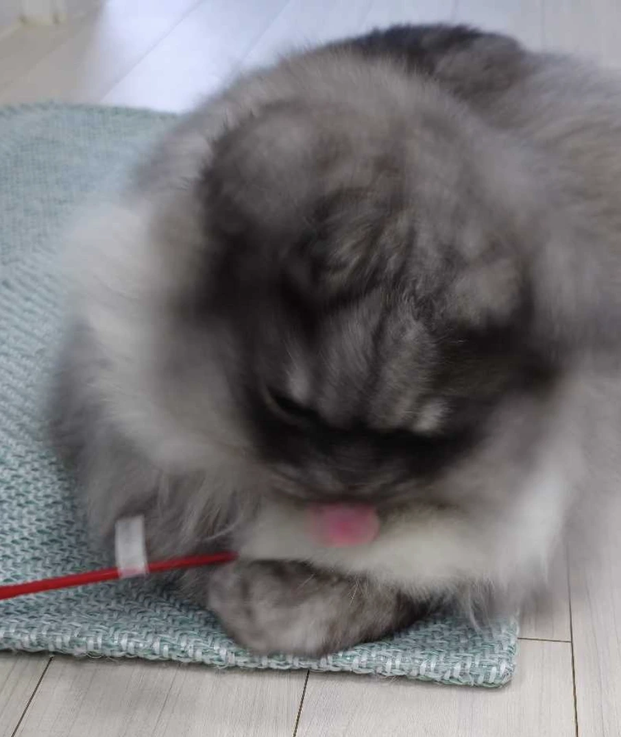 AD_4nXcWa5JhQGB6zkuwnt7XlLbZFoNQCa-96NVFIBO1nkQMePZ8XYSWMvU1mJk18zSc-FFPSWUG-5eaaIxtrR44fFiHrtsv-QpdbN_rcVk0w1JzRhc6dw6PBGCR9yhMt64ZPTvNR1TieUgaCqEYGVd1EG_V-o0?key=UST2UTprBL4L9u-qF9Xrmw