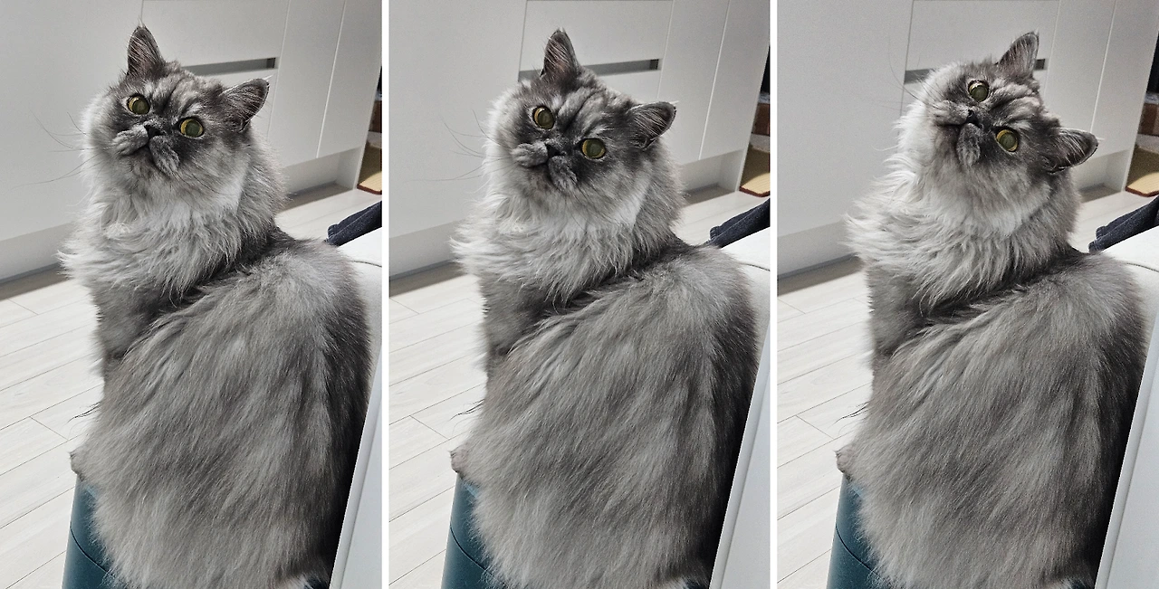 AD_4nXf2wtNvMe1gRapfLM28uXarS0-yL_kqCsozRtVqAqDuko4jrtsle3hGElDmZwjfJVMbIphnEpZJOXsJ5G8vhRCwzE9ewaj_DwPbRBu9ba8d6Iaj2QvvP31ZoADrHEQn_--OrOLn?key=67gfP8fh2whLrd2tC6FEfwJE