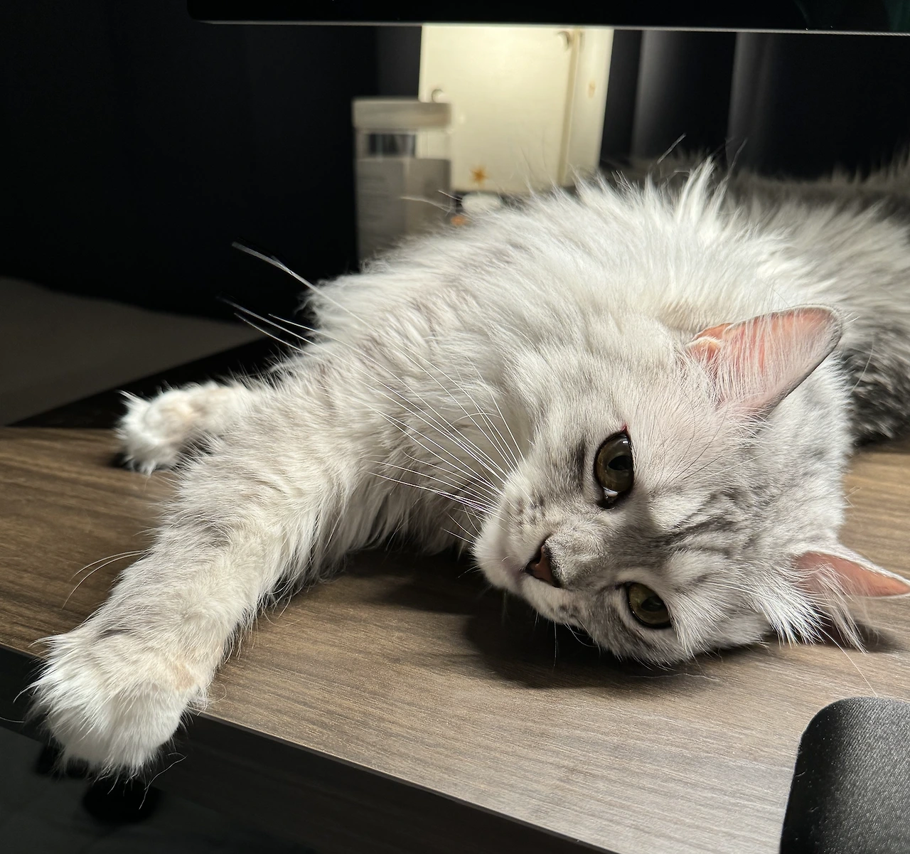 ifyhrGJjCpua754cOhwsuDb0msa6QRkpy8O5O91U5vB1MNfn0uONRcqOtskzLiJQomn4_uXD4x7U2DQ3gyHhkj2IUn1UEagtpOSNbDNB8nXMqKn7PTAvoBaWqgMJtW35tHE01X8-zqWP384KRRa-7A