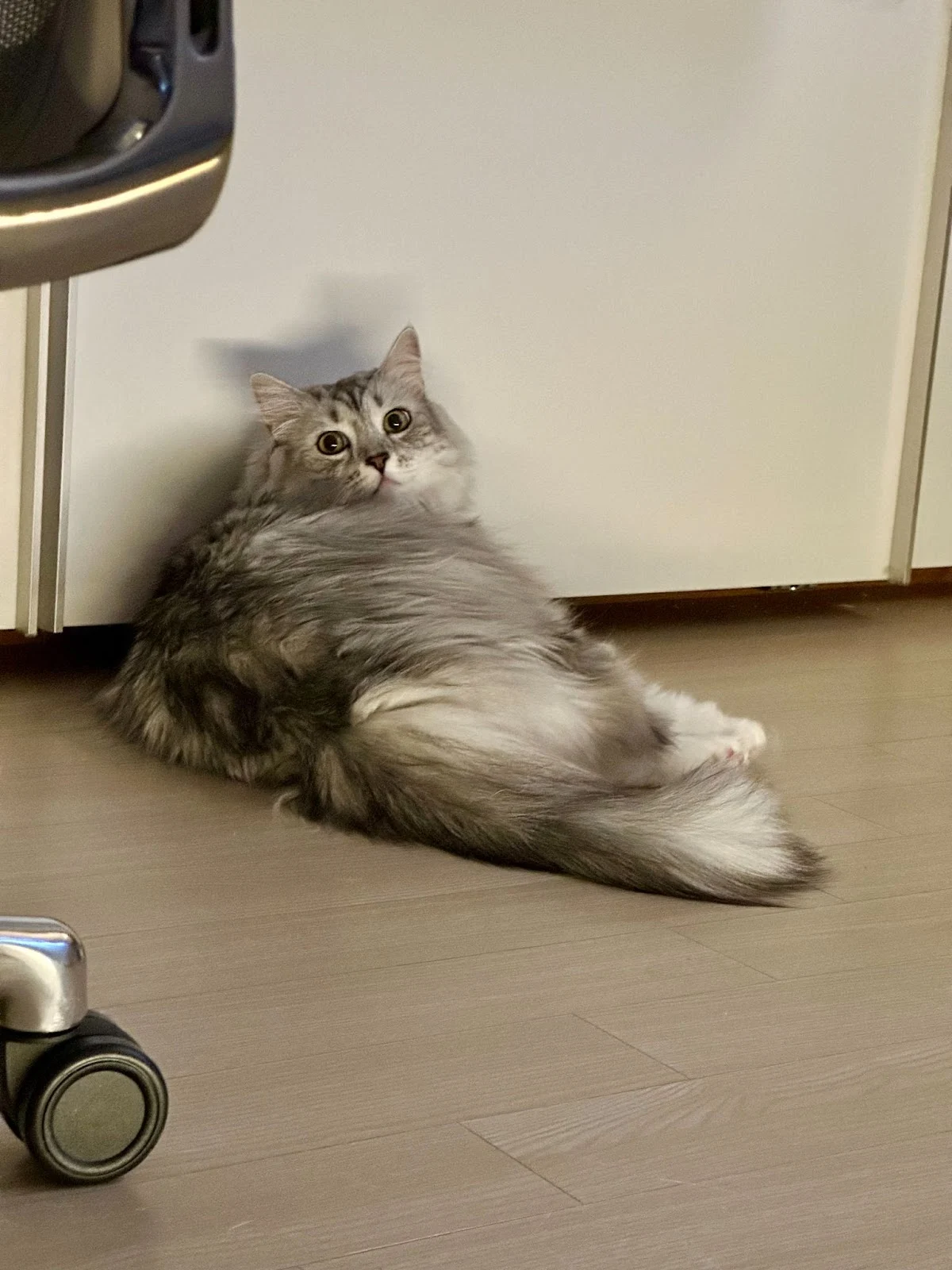 bxcGZ4E84fH2u_GQVWf5_GEK8qkHUsjqsqBNHEg3RIIghCloDPHP-ibtvAADVXN7PfRSPzbHtQGxk4w-uLpdxEHaHaJXyc82j5jhFRewcqFhif50xkWDNy8BkEp0f7hI1x4dmIYjLZV5DH8SYsAwiHz-77xuW8WHxILWXy-DkPrnJiwX8CHo3jpHofYd_w