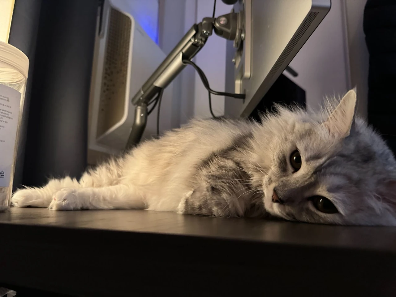 RR3u_PRtUYdj42jMRgP8tcK-kBEI2-qik1d1fsjzB4rbE4Ro5XkbhJUgZ3cUrLPj-9hzTeLa13fp3CMtQ9DZWNrscG6N9wTCIIpkKR6x_OP9kk3N5DB0toZ6CXDmDmi6hTJ1XBYo5gf5KTd_-82MtA