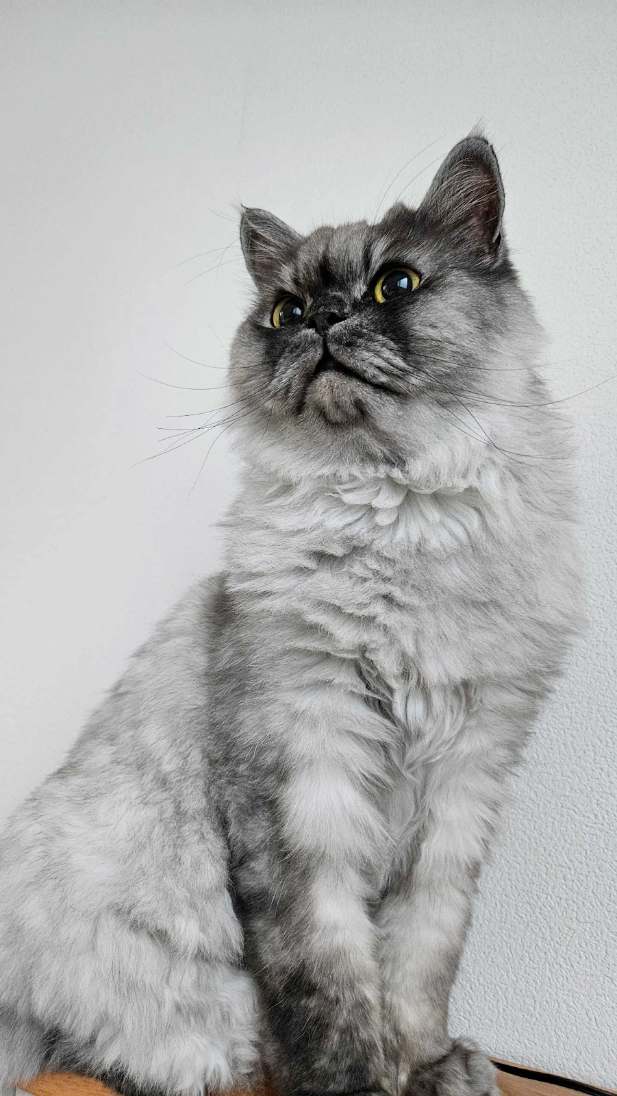 e-IKZndfZ2H3XdOOeHL71rnz3JiSgYBN5PazhZ_Uv9Nn0H9rkALFzbut201L0VcsnxdE0jIKC64qSDLqdBXr-end5g7Yb4GfyBOj91mKpe4vidPYe5KQ1glG-7SS_n1orrrvEkFh6AwtTBIjMUoDjis