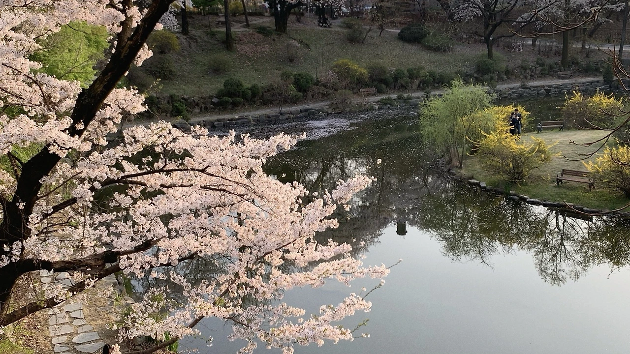 kxHCE53_IN_URgYLq5yScW-aFeeXvHxpC3QCyGjmdSWB6UyKzEVzMY3f4RiEQFSpPlqmElagP2HypZZWEq8lXUqY-E2V7lF868btL6Q0l4CDZuCjeVRvR34SY_cZ85dAseCdSlTBjPsXu6CXtgYgPAY