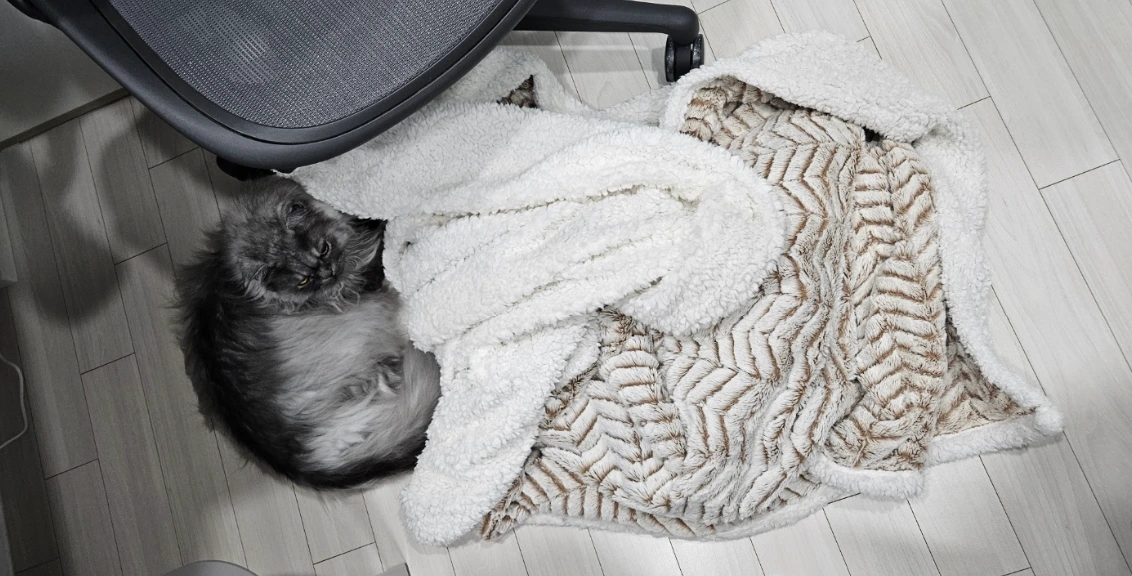 AD_4nXdap06vbV3HVV46BmkDwYowTX-CRSNwuLihEZLZ98yBLzLSYinogXJ7wYUEwqoobwo7sqPSa5eCWFxoN4LLhGARaPaafpx6iEiYnCx9M9m5n5RO2uK2sU5QyKWxW3NbctbY14d-vQ?key=BRNX314EhcIqYuhRIq0YcWmD