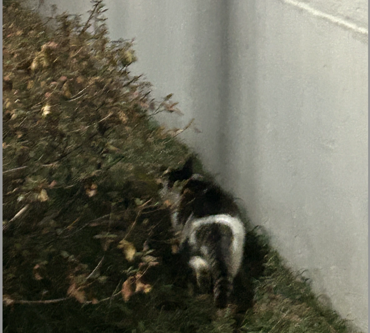 __GsKvUtb_yeWF3qAuNTr3NdcxBRLnj7HiSCwTJZn8BMNnOQ2ZtM5vb_ebVav0aRKcqvo0wmYGnLkLYyeg_c8r2E3A4UniqaCACOGE3LkD0wQ5zDAAByVuAXWEHDrXmemPqgmKatFfXyU_RhpGjdEA