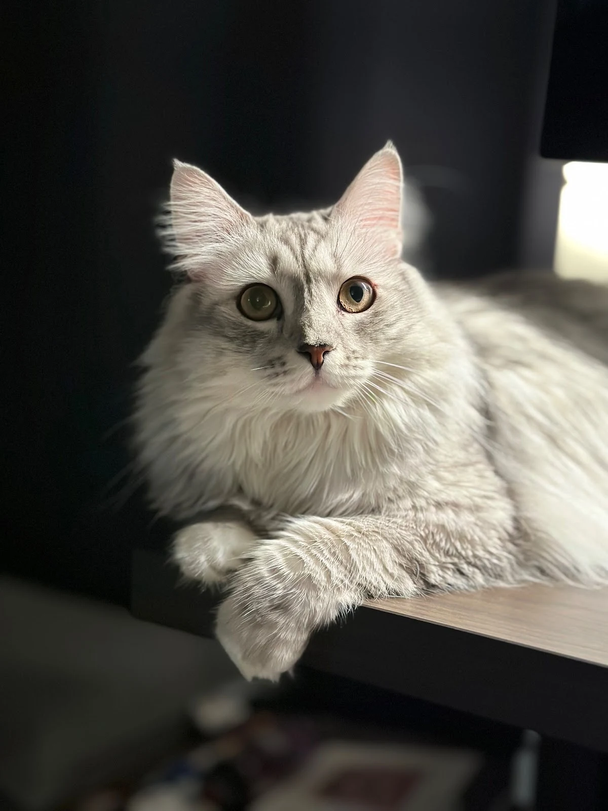 LWjB9_vwJCezWUEMHjtNb6BVA8SMQDh0U7dhkzHspjXA7u4AP5y-i5aSQhNNEBivK57utOv6ILIuDFqrA1LwrbWBC5FUz7QtavgRBoelU1MJsZmun2V0CKbMyC2DKpdG4akNmT65-HGPniNxvOkodDzn2YGyJKz9WCpbwwVbYDCT1QyizRflCnffF0jBWg