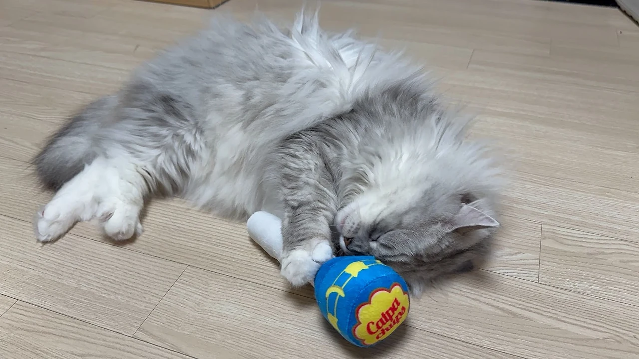 AD_4nXf9W2-YdrqfbYBnLKxsZXumtKdM9H0S0Mu-wUaZ-Hp3zPu_X4vHa_7900DANQS_6hiYhP7k9I9dP-2iJccYRUIQyEnJ09HFJcAONFZiHgQFD3XmDTNBocc5axgMKG9nthzIp03H7rXKpKoKOMlWBCvQ46ld?key=nbMbpbW8vJygUUl3DP1Erw