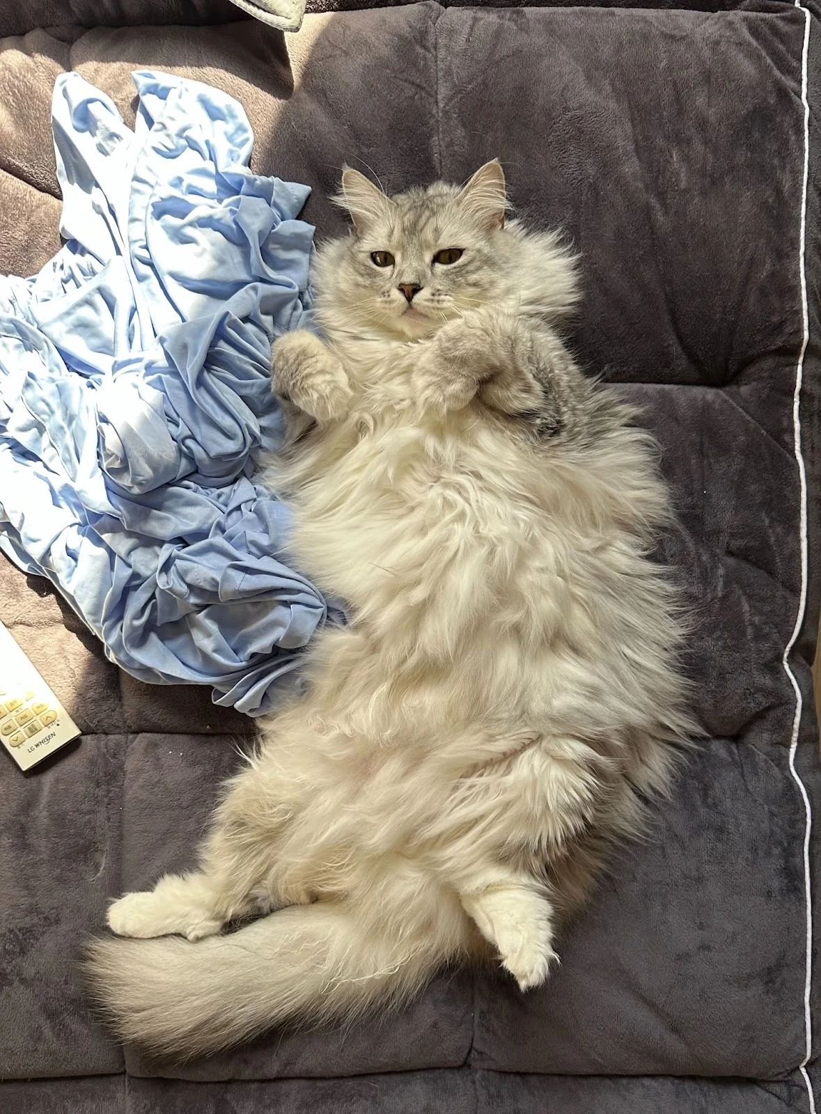 NmnRlyrZCEwdRhLbLXNnzVoX_-WsKijNFUVCp5rWVyb8Pz6n9HTMgMvWG3IijduKa1xfmth2OAxpOdt1MqP4ynkqvOlDNQavYRljiToahGr5Oz3Mb2RTQa0qmHYiOSE0-UwWKk4A2lz1_5_GJm8AiZZHOityfMj5IApzB20s5DYFQT-QU8OP_lBMUCKaBg