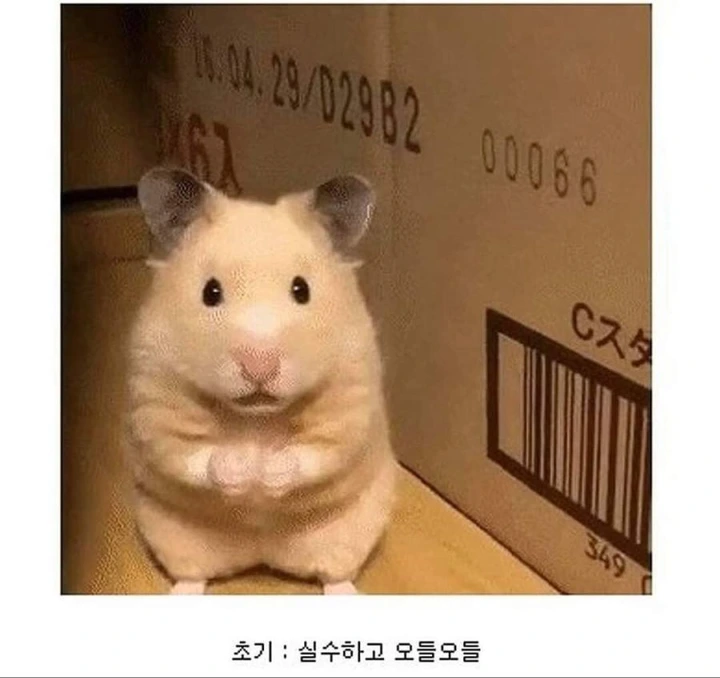 f7Aov-z8GB9d2NOsS6LAooTo16cZ5pwmlWNA_7Otzjg9ej4LBHPkQnwTCv_j9C-0X4pTfULd43XQCykZPFEFXQt25AaXHfgJTJZoEpnRBrq_Gi6Dun0IoZqqk5Iy2xjO9VDe0RUPXw4bquVTzkMmanQ