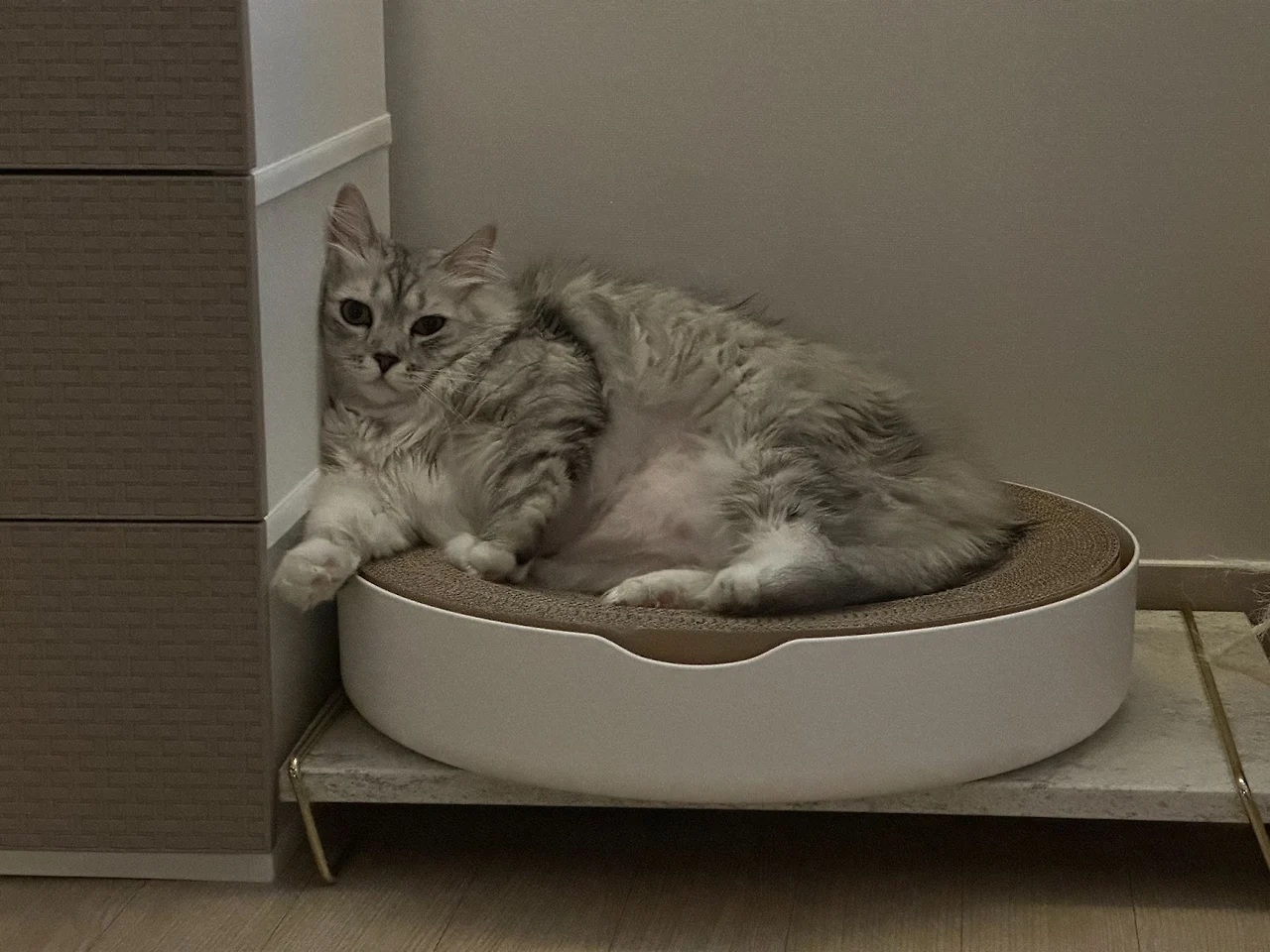 ePzCk6FA2eqHmyupUm7gedC__3y1J0yuPAqgqBR4BCHPhvyM7g5FVZXwqP3_6QCEYJMOk5RMg9QZ8LKxVzBKt_BgoR6wjWQsKGgULZl9XuTSqDFvfS0pRR0IQH87W5KKV__KFRoDufGk8VijU_qaO6M