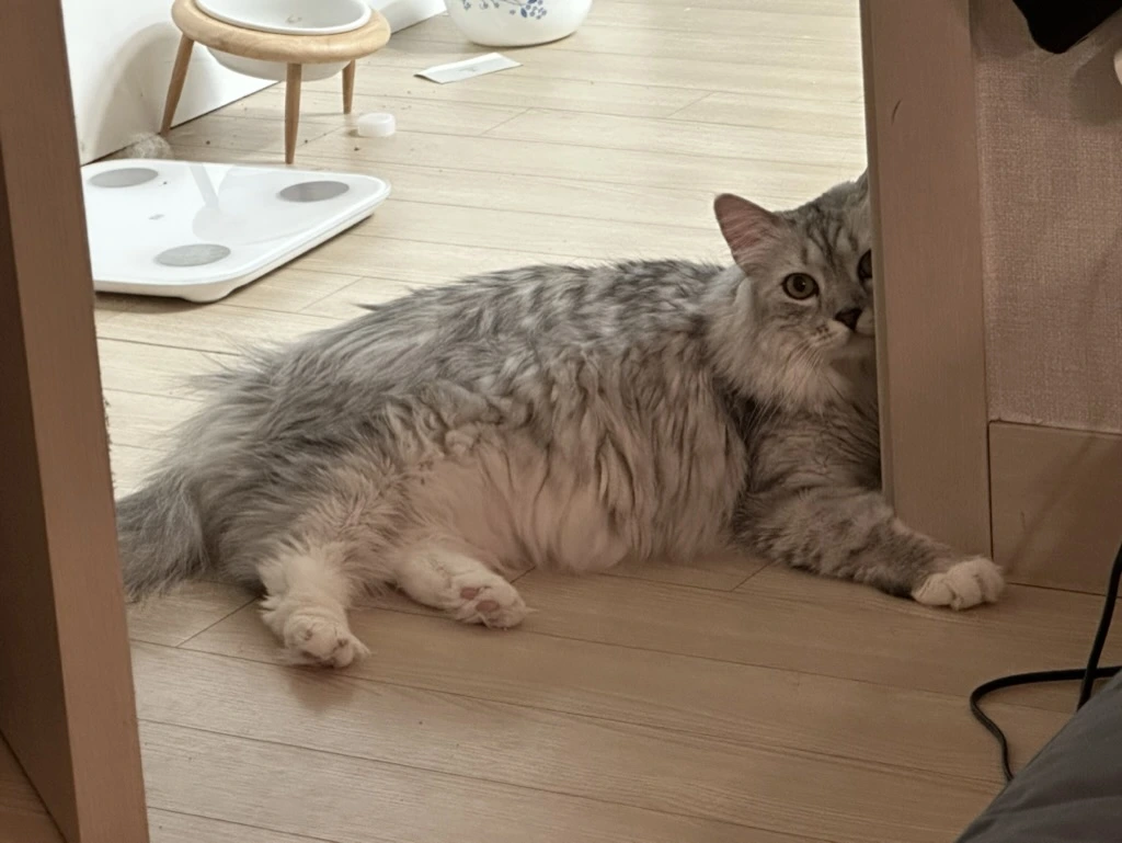 GgGe-PkJ9JsZsQcjxNwzuz_6RoJeto1C0betHzbfOulS8_Jkw2qBUmv8sgXu6I7uUZbocBZ0x_V4SxA69ZLrBrSWPAOCzTT3nujcbahkJ_fGeKTX_fcPyoNZOQ8W8C0zcxG0T5oD3MLLRlSFSIJt2Yo