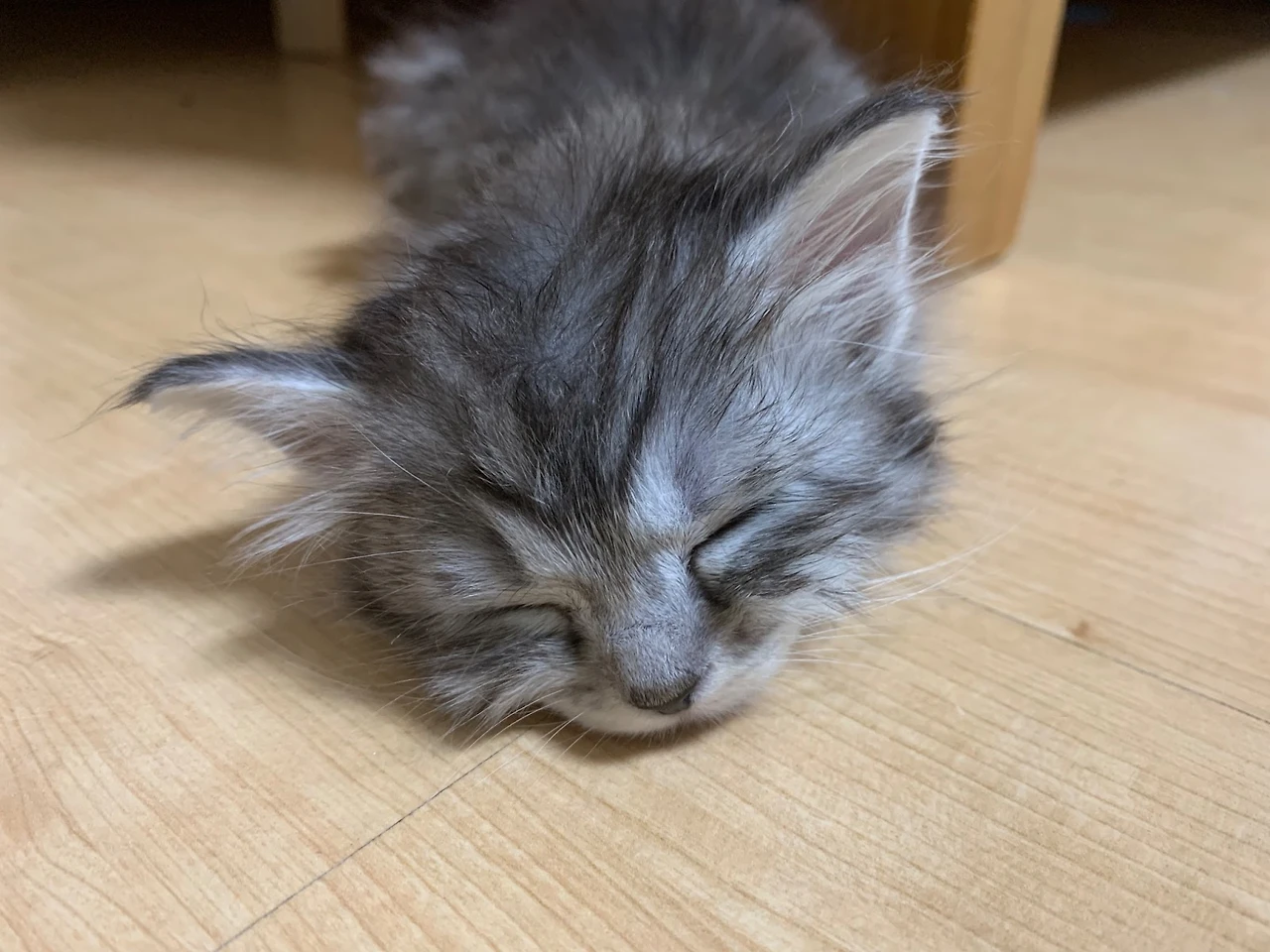 AD_4nXcpk3ntP_2M--PzF0H_PuzrVCLxMJwTZmlo0FJQEu9euq30c4ATKb3Zvgm7BSGYru2YzXzHocaVGpa-mPTSrEUVRVHuyQAgEYQUD2QOtSqogXQhI1huLy8bPVFyLzfHk0VyPehZuw?key=Ohe1cIk7X6dFuYhIn5kQK_B2