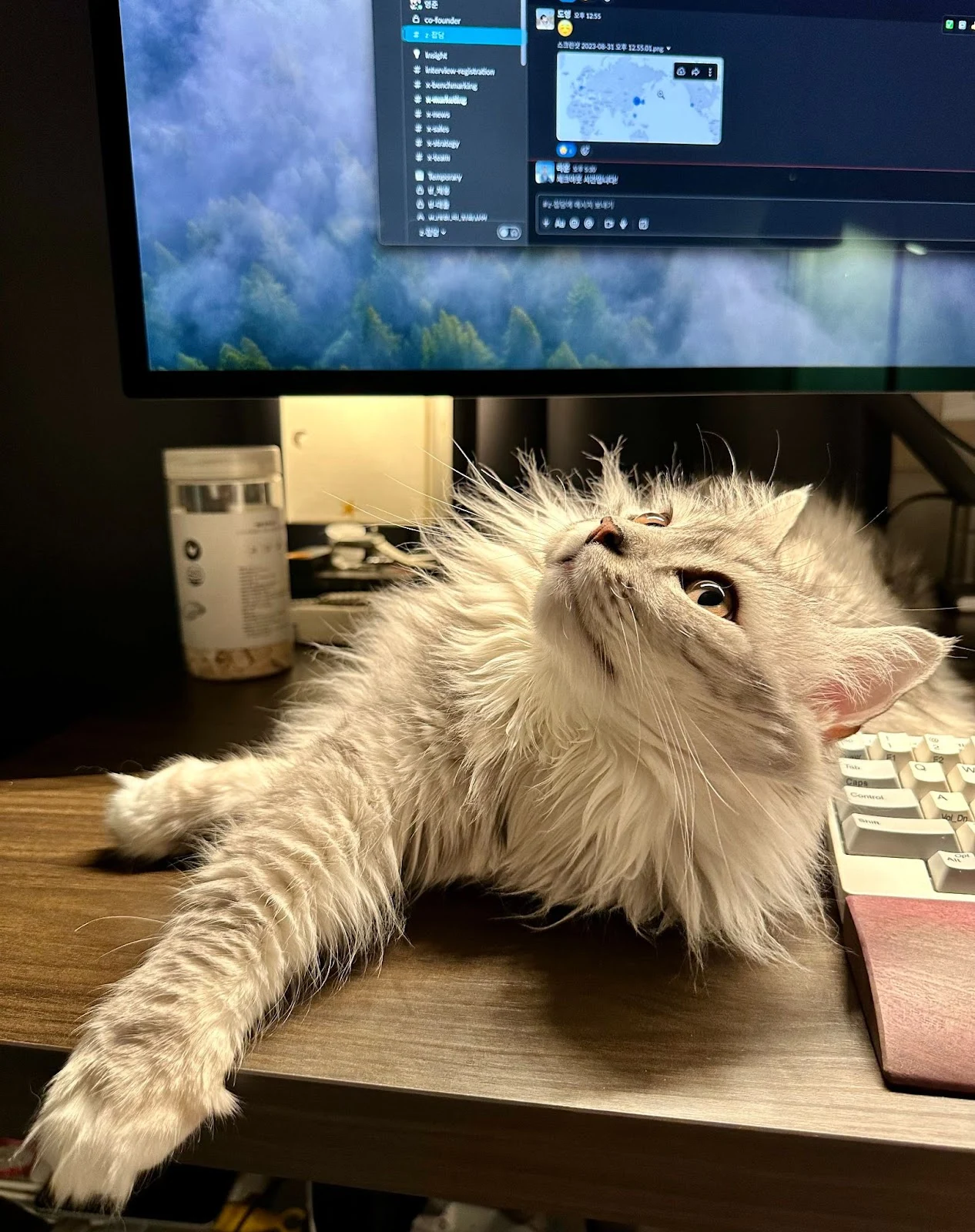 vO6brp4ZKCPItwsOqaaBnd4-y7Faw3omddkyV5tvDFulR6FSZVlRykXi4L0EOeYky2Sacfz-NzMtPxZCdRZ43Y-WyMFkaHENn6PRsEv1qrr90YAq9u2_mKHc7wAn1RhZDs2XmBB5vzw3S04CBAlUre0