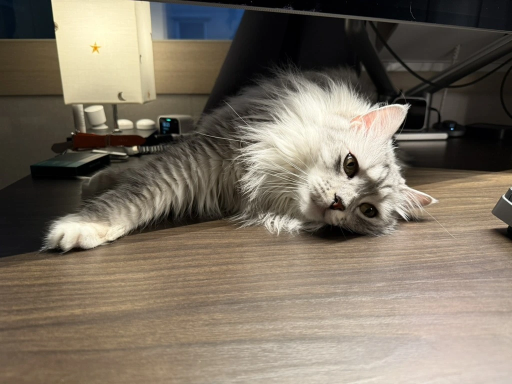 AD_4nXePsGxHZPjFOTKi0rqcvwqMCCBhy9CBfG4cEV1rxhG8jQ9cxh2I_wS5kFkLKLUbxMJBBIonv55rh4eCk5uXBHtgVZz8OvVZg-KoSVLOWtousDYrNlYBKh6mxWLFUCs5sGbDfkEmlRwwt4LOfUlGeUGHjzY?key=BzcFb5r2wtTrLELX8uYfSQ