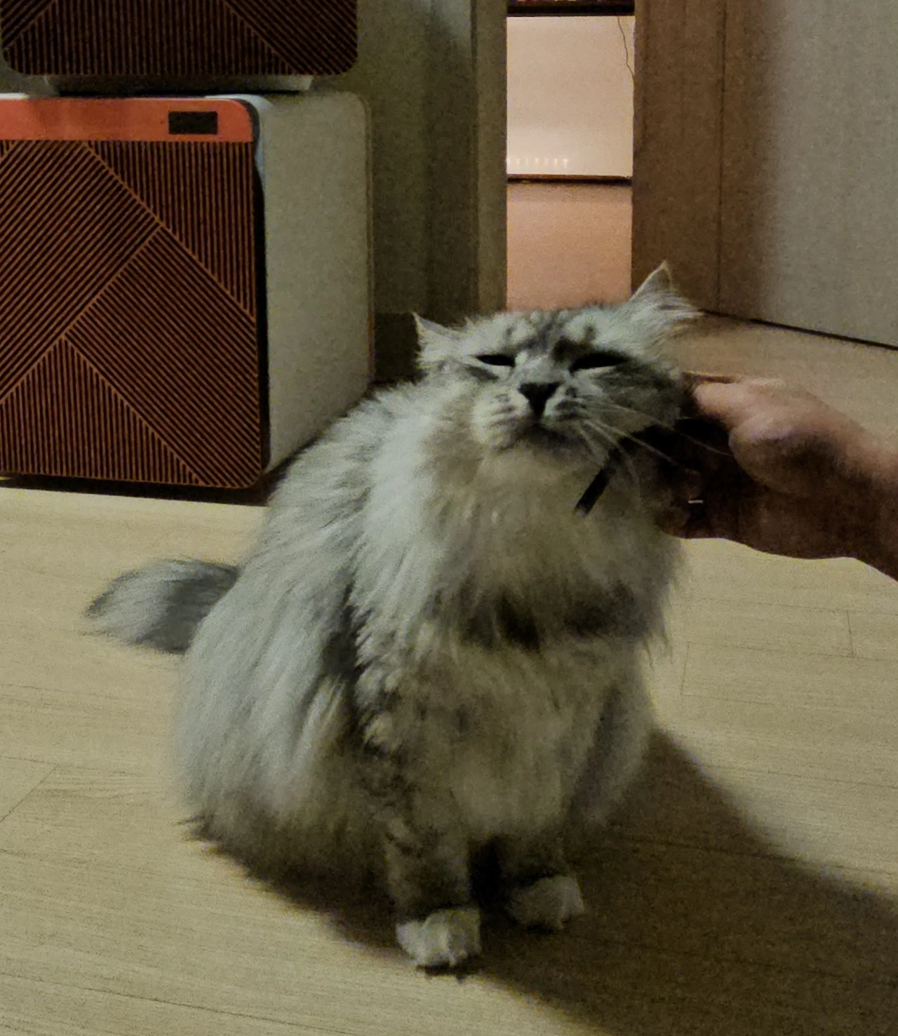 Xm7DnzeNftKYQlpM0CaahK1NyE83LzEdnlZ_XebZcVarP70UhCw8VGNe_jfAPfZE8xBOLqQG6TbMat8zEHUGs7mxKToz3rZzQYSNvGAdwSe9ZTyy4hsyruVhQjscfnK4xXuePwwZYZXEhNfcAmlvZjQ