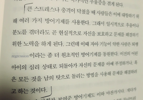 SE-b73915ba-fd42-4e38-8737-f7e670c9649d.jpg?type=w1