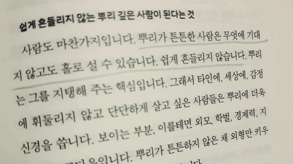 SE-d9943b47-8a54-4440-9471-98d390b72092.jpg?type=w1