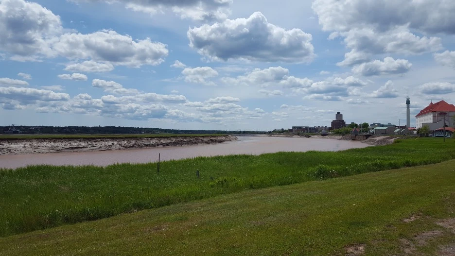 20180607_140135.jpg?type=w1