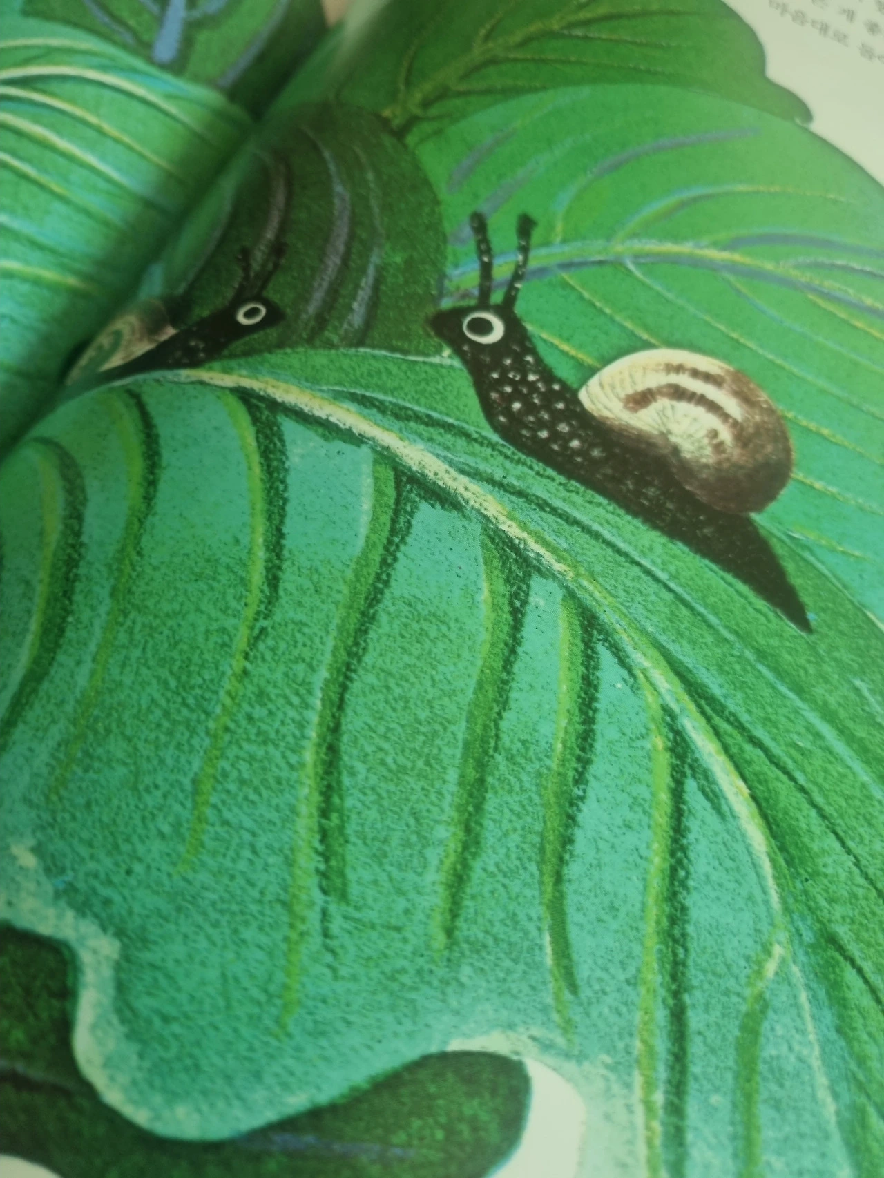 GvAK3-bqc5iN467fg2tf_wF-Opo