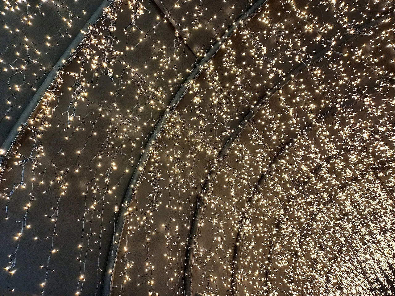 20241212_123535.jpg?type=w1600