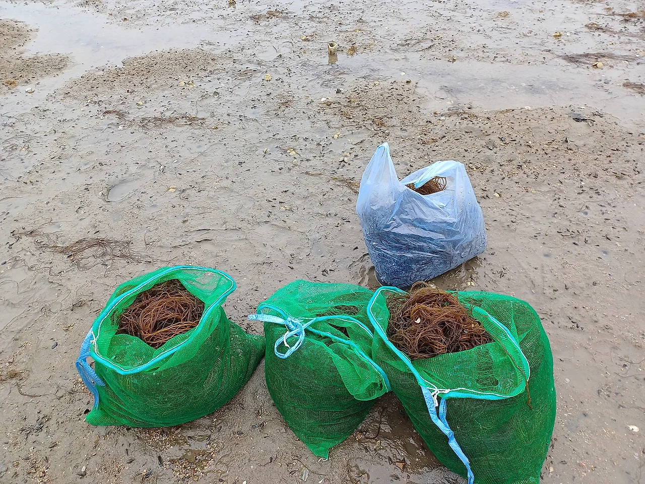 20250613_151238.jpg?type=w1600