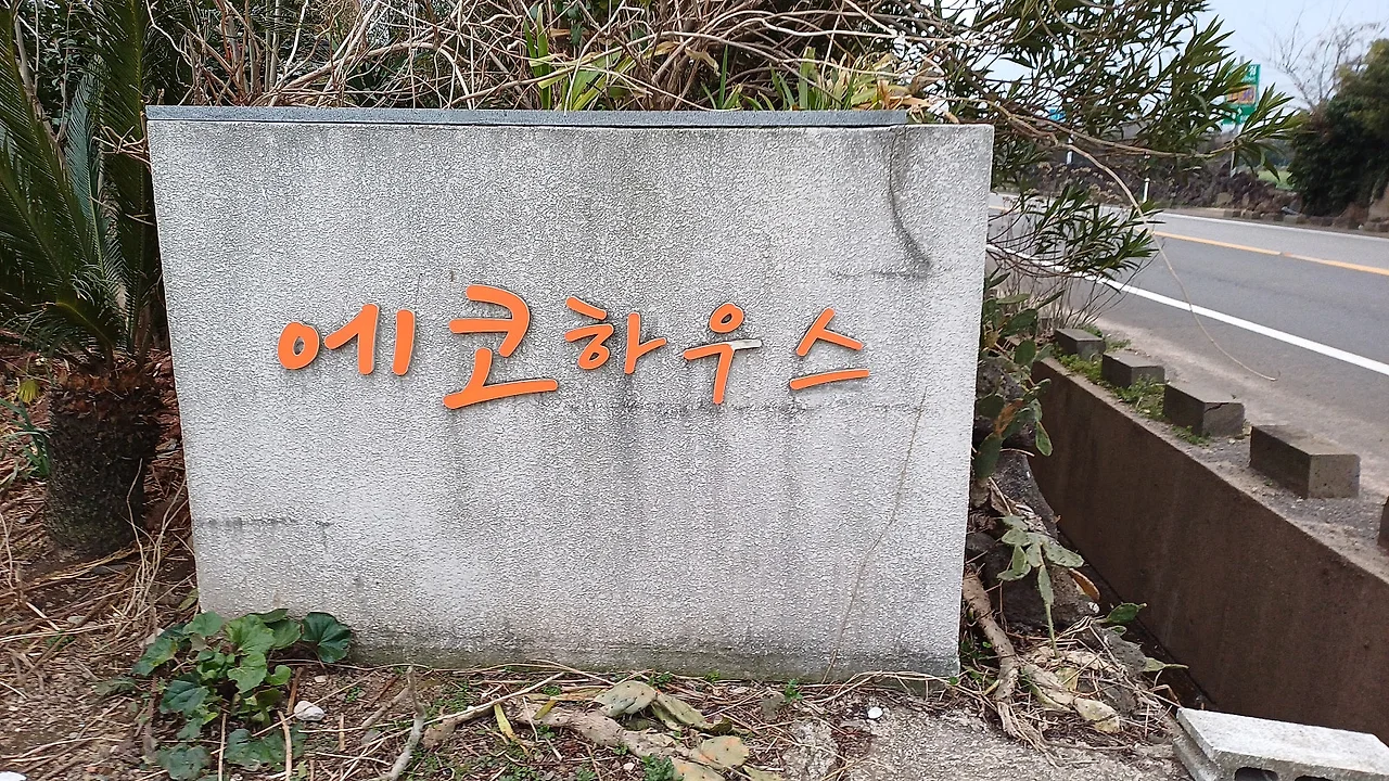 20250313_071801.jpg?type=w1600