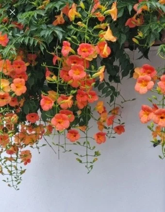 %EB%8B%A4%EC%9A%B4%EB%A1%9C%EB%93%9C-7.jpeg?type=w1600