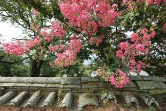 %EB%8B%A4%EC%9A%B4%EB%A1%9C%EB%93%9C-4.jpeg?type=w1600