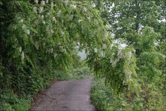 %EB%8B%A4%EC%9A%B4%EB%A1%9C%EB%93%9C-10.jpeg?type=w1600