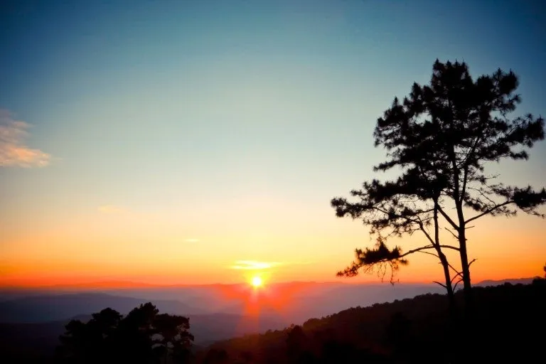 %EB%8B%A4%EC%9A%B4%EB%A1%9C%EB%93%9C-29.jpeg?type=w1600