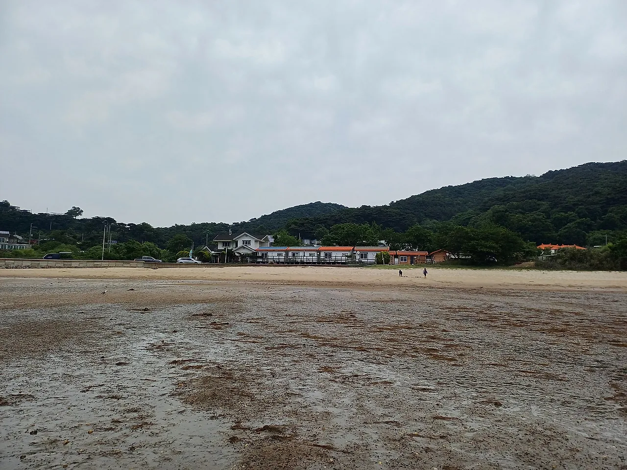 20250613_151244.jpg?type=w1600