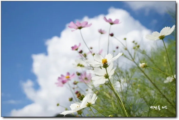 %EB%8B%A4%EC%9A%B4%EB%A1%9C%EB%93%9C-19.jpeg?type=w1600