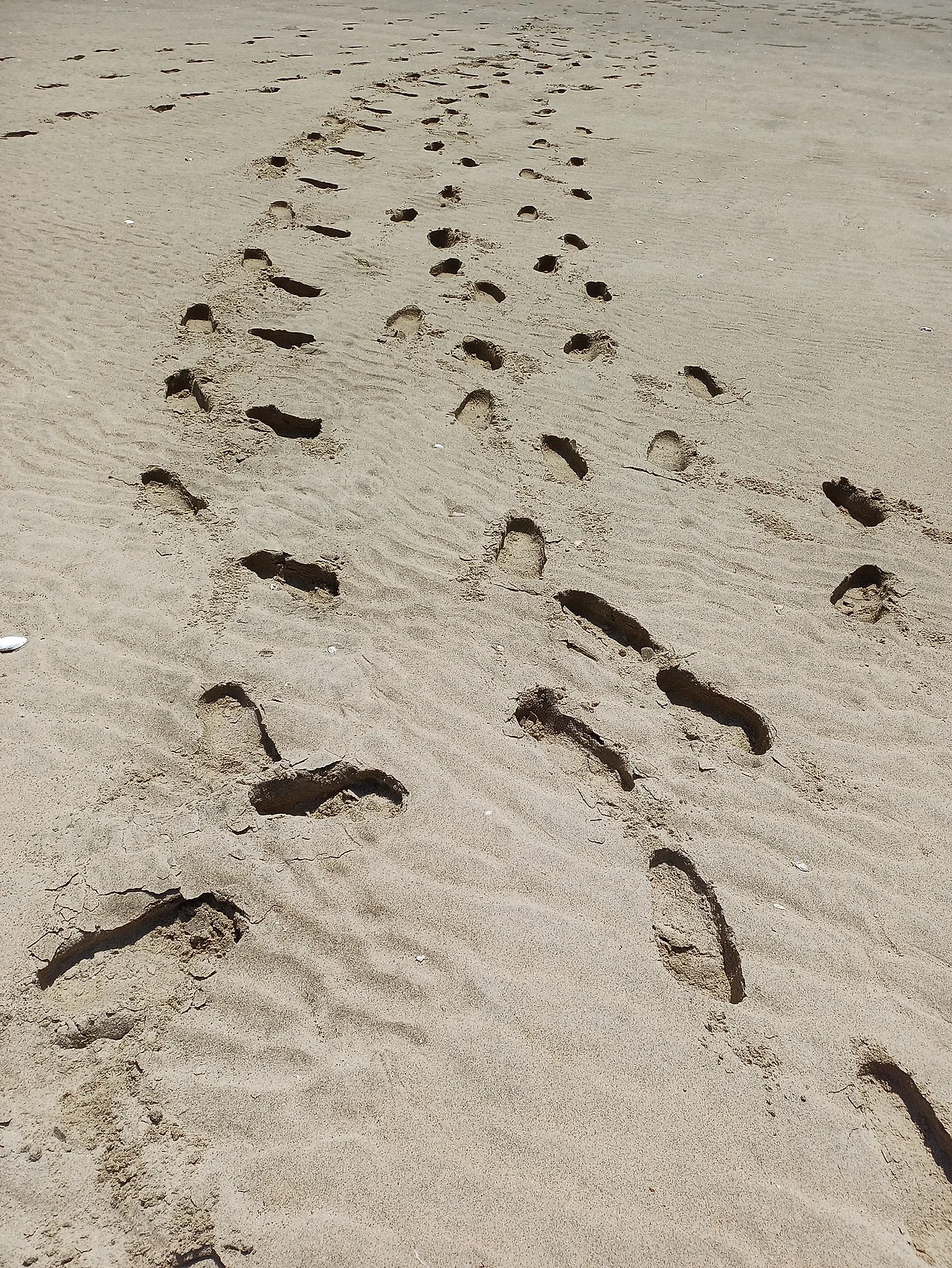 20250614_133901.jpg?type=w1600