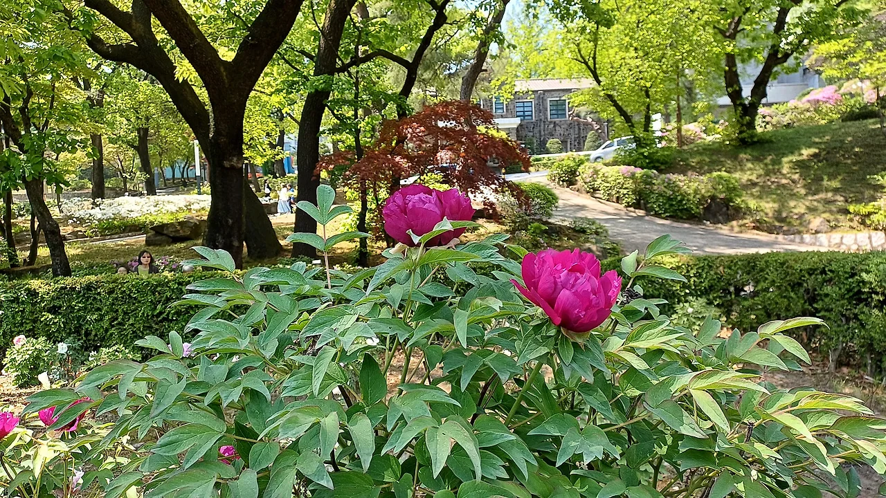 20250429_132540.jpg?type=w1600