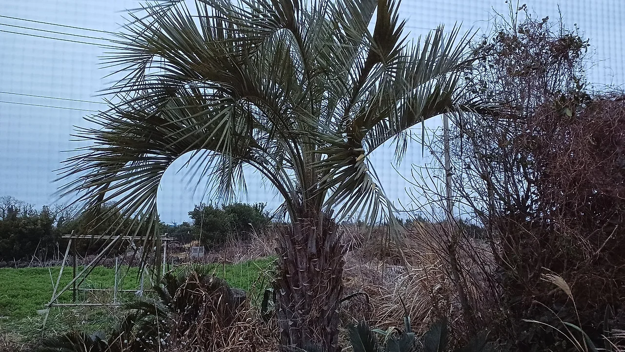 20250313_064703.jpg?type=w1600