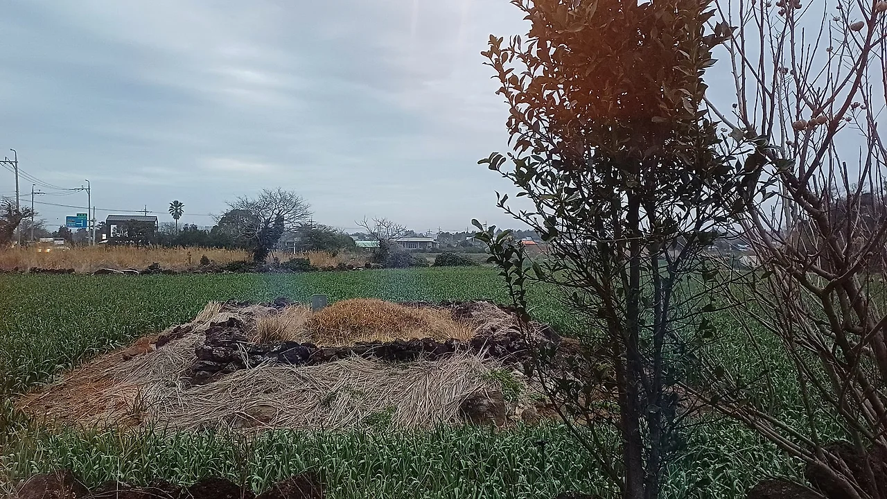 20250313_064627.jpg?type=w1600