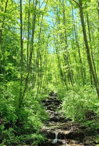 %EB%8B%A4%EC%9A%B4%EB%A1%9C%EB%93%9C-6.jpeg?type=w1600