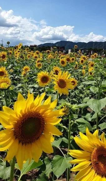 %EB%8B%A4%EC%9A%B4%EB%A1%9C%EB%93%9C-9.jpeg?type=w1600