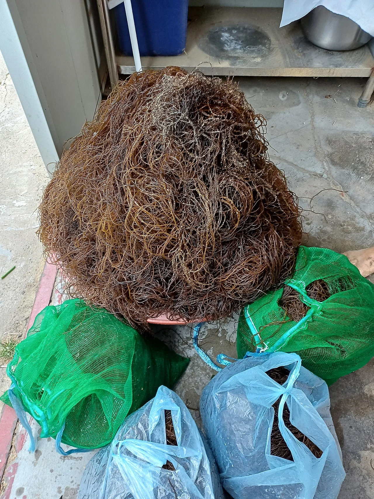 20250613_154658.jpg?type=w1600