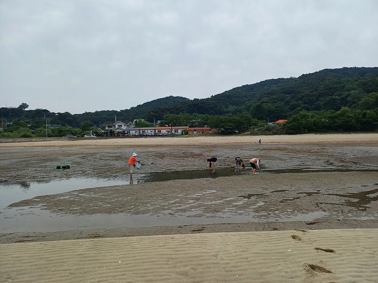 20250613_151349.jpg?type=w1600