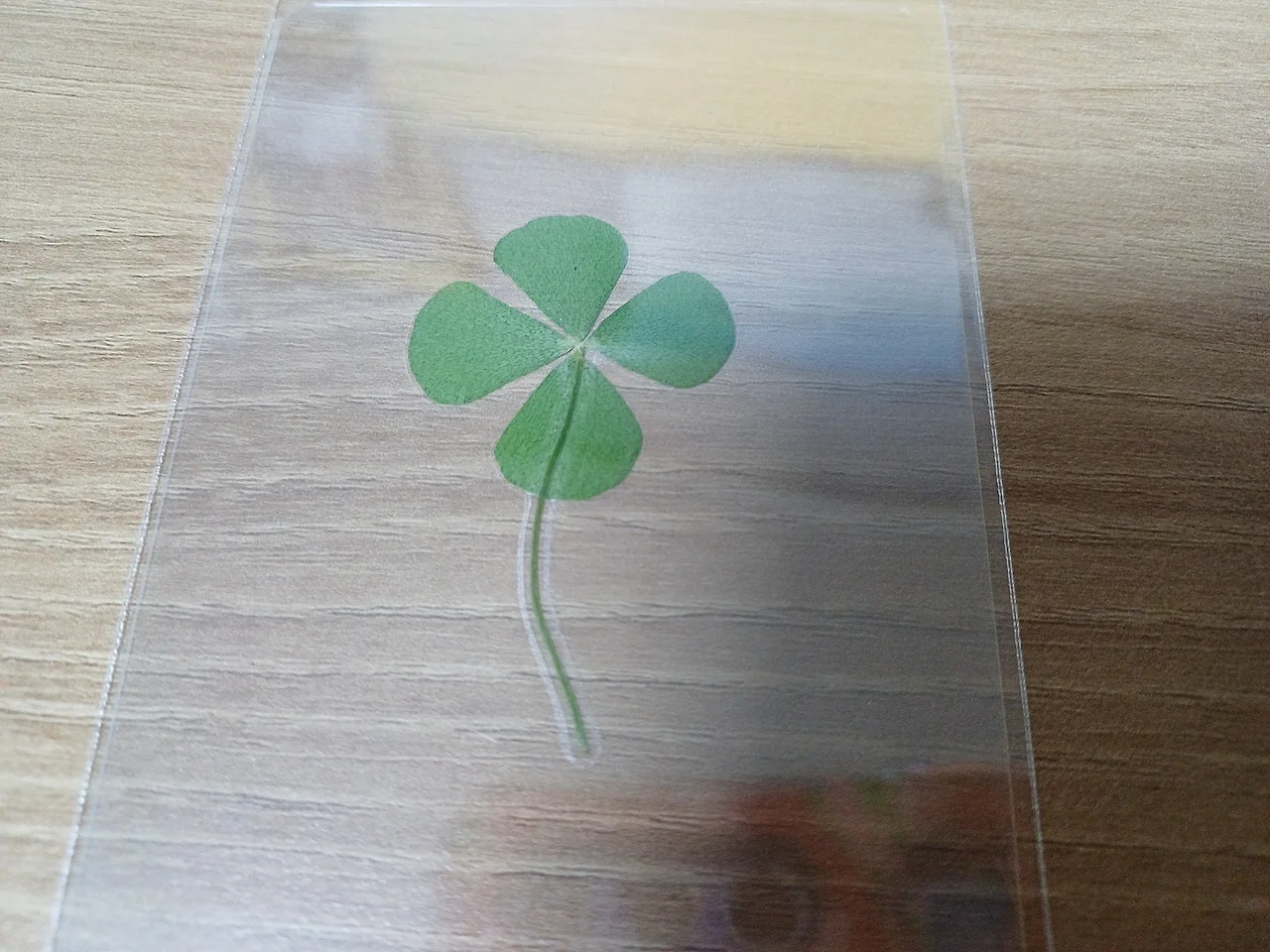 20241114_061527.jpg?type=w1600