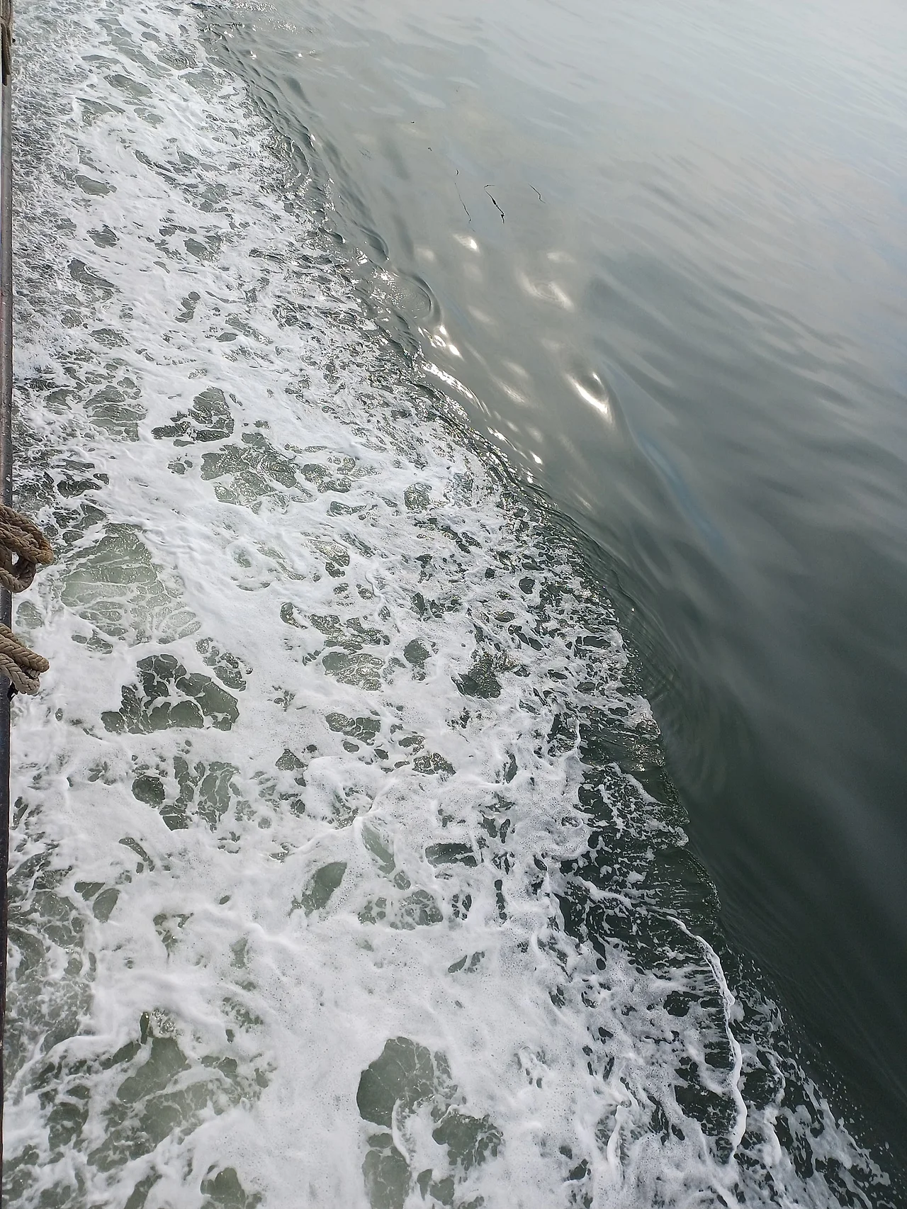 20250613_081723.jpg?type=w1600