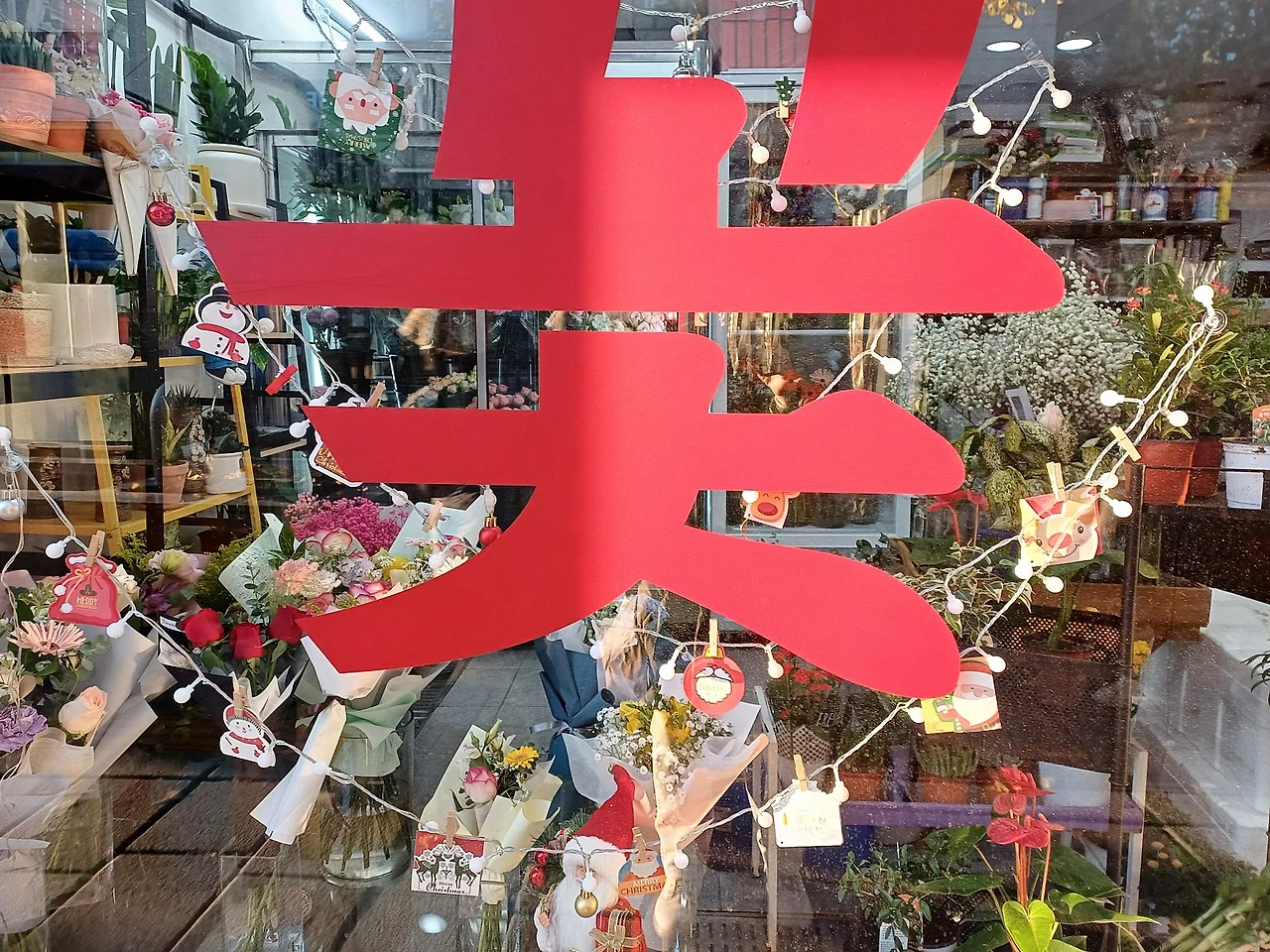 20241203_163059.jpg?type=w1600